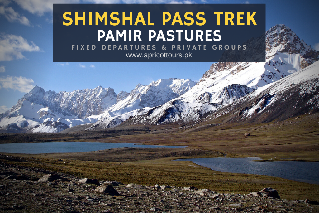 shimshal pass trek