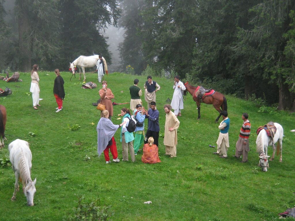 Ayubia & Nathia Gali Tour