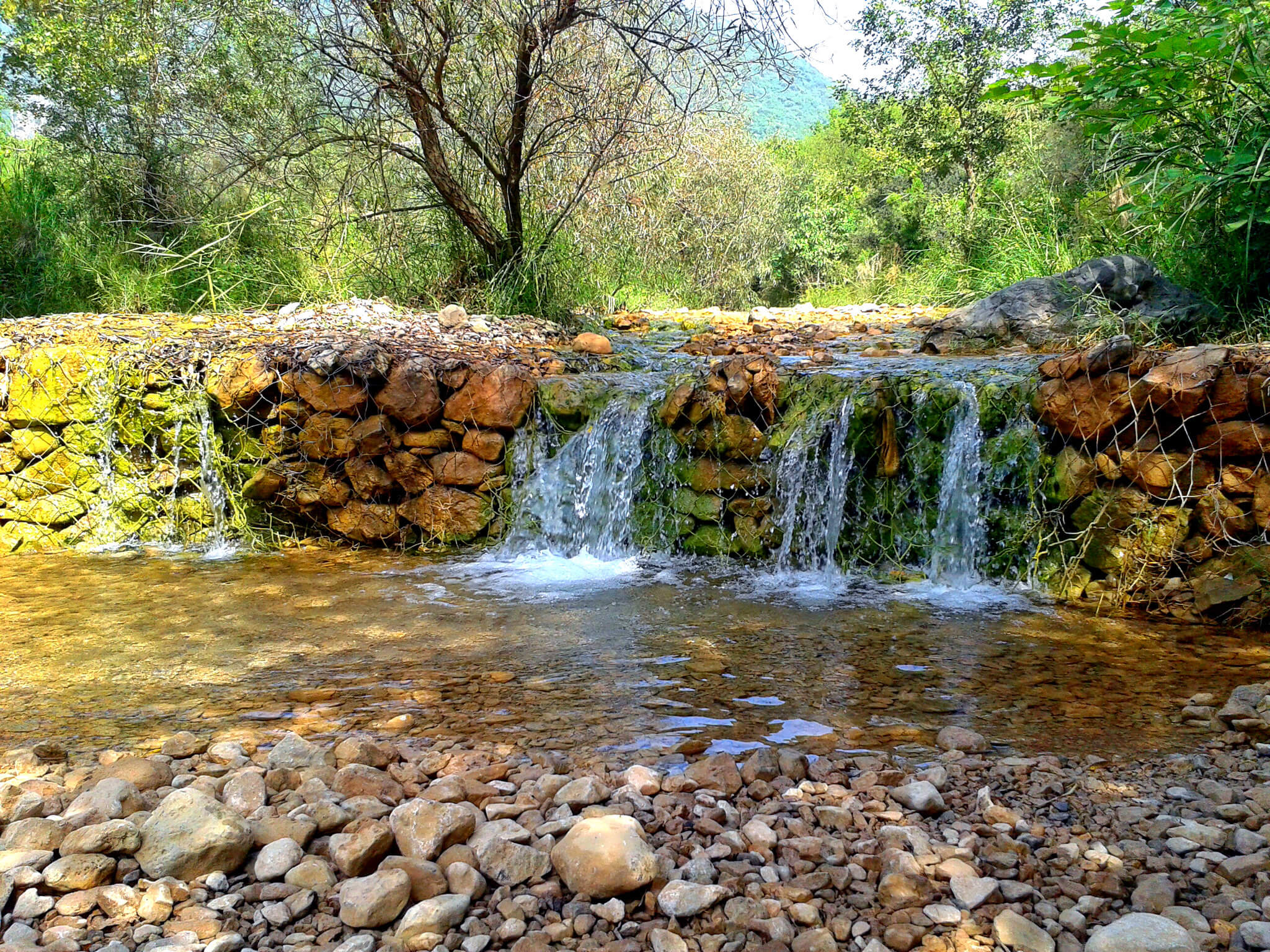 Margalla Hills Trail 5 Hiking Tour