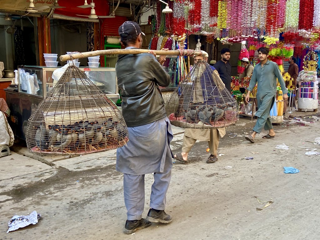 Peshawar Tours