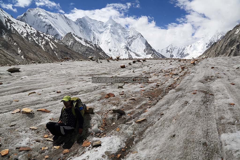 k2 and gondogoro la trek