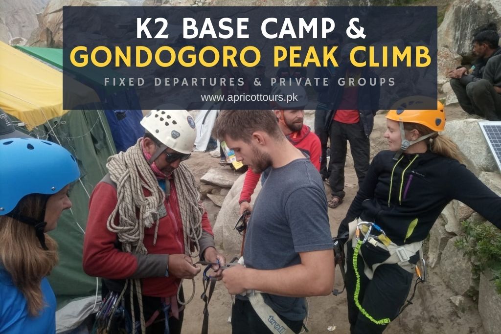 k2 base camp and gondogoro peak climb expedition