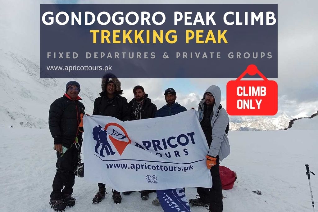 gondogoro peak climb only