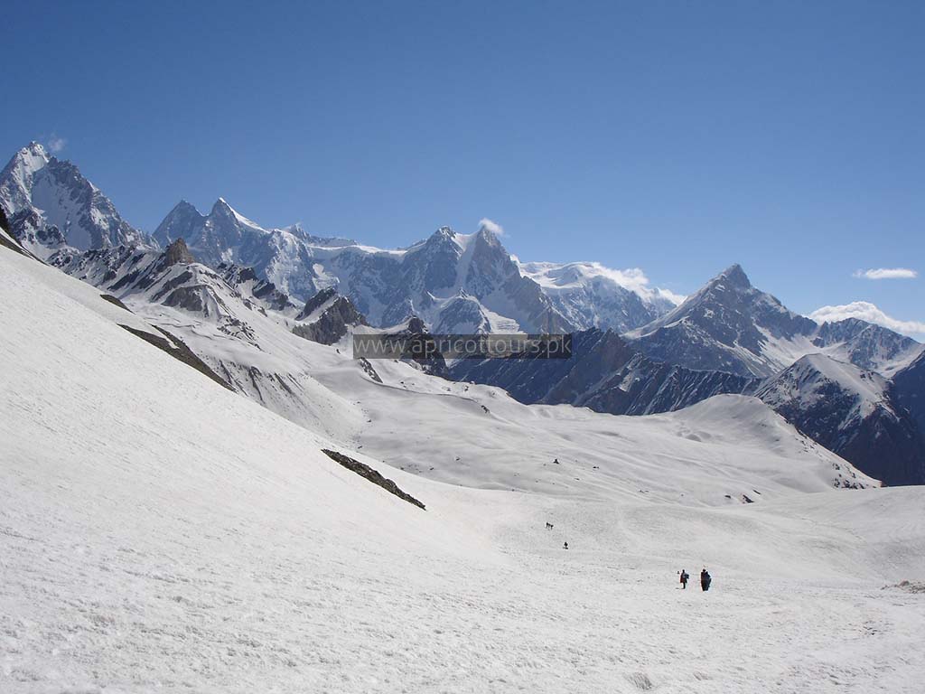 Bari Lake Thui Pass Trek (20 Days)