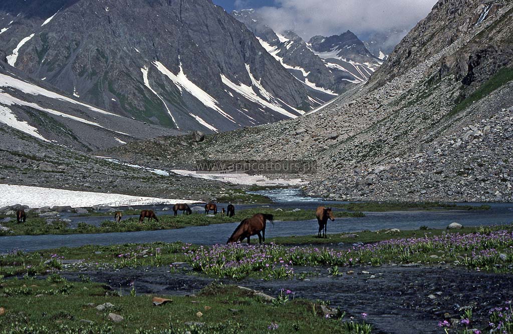Laspur to Mahodand via Katchi Khani Pass