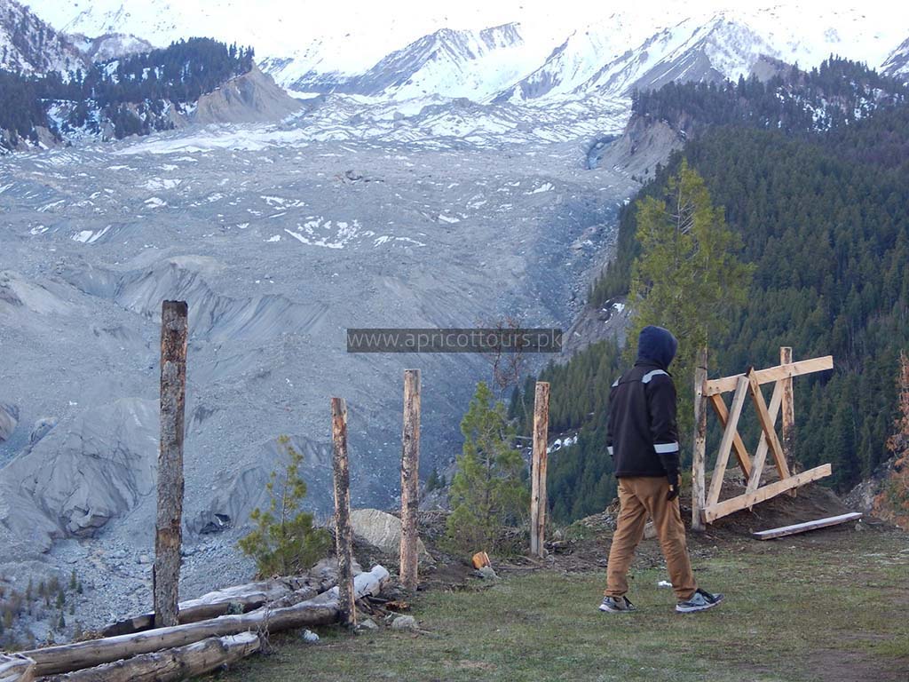 nanga parbat base camp trek