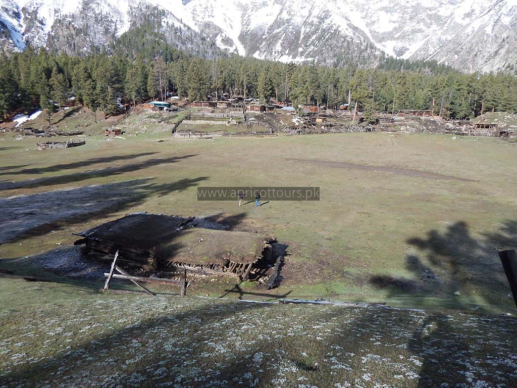 fairy meadows trek