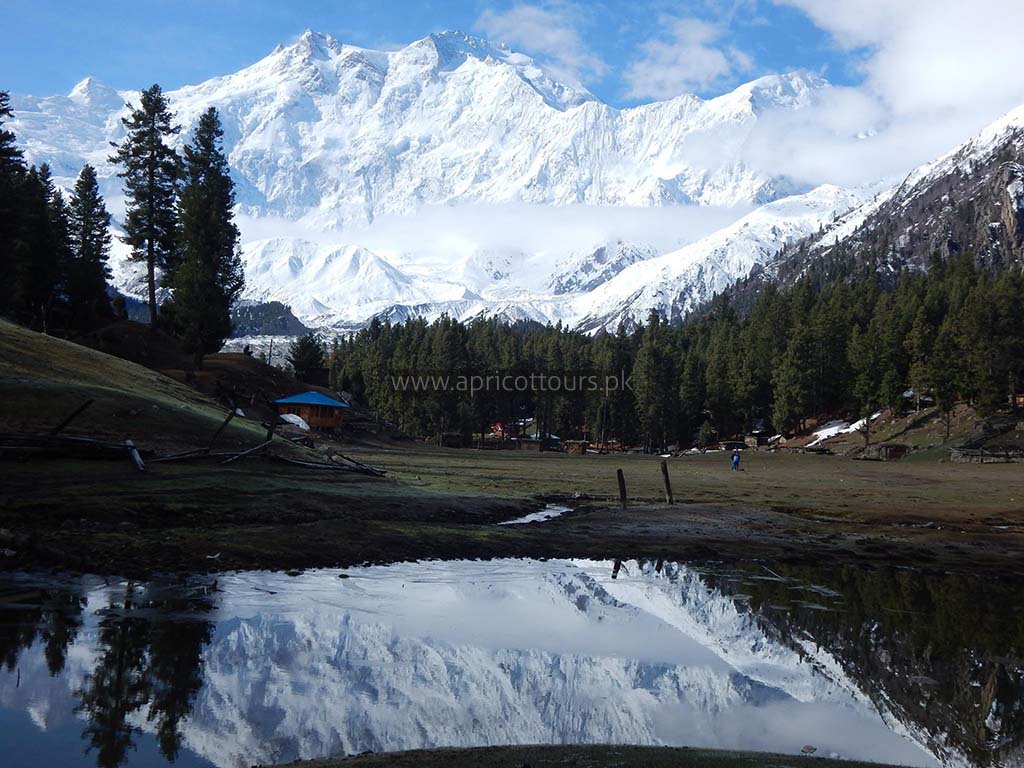 fairy meadows trek