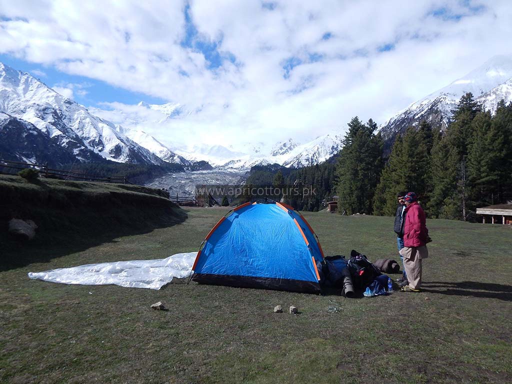 nanga parbat base camp trek