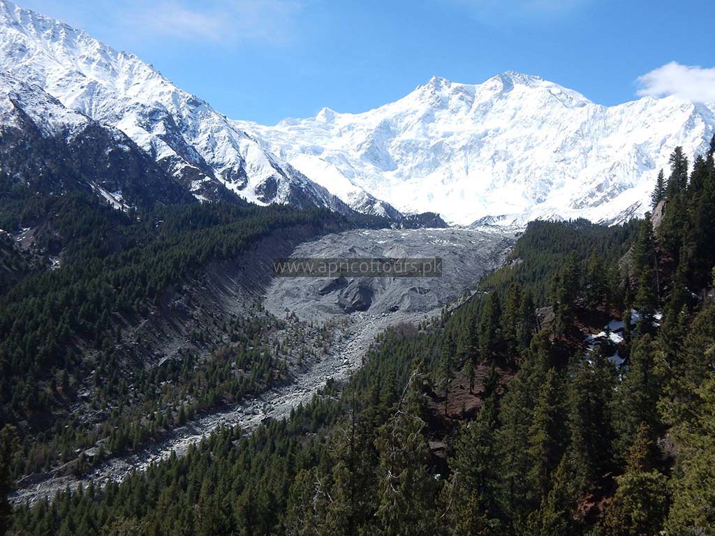 fairy meadows trek