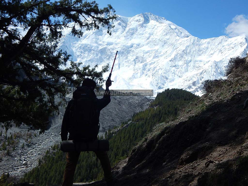 nanga parbat base camp trek