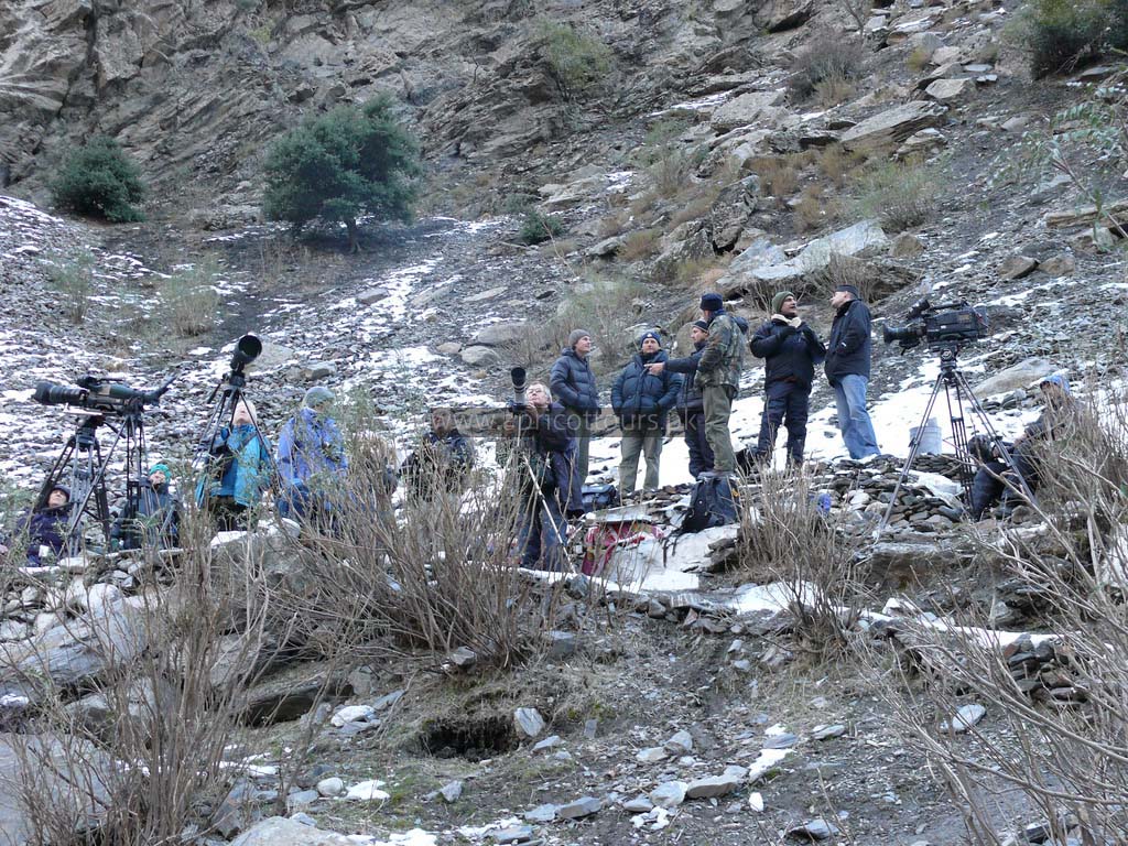 Chitral Gol National Park Trek