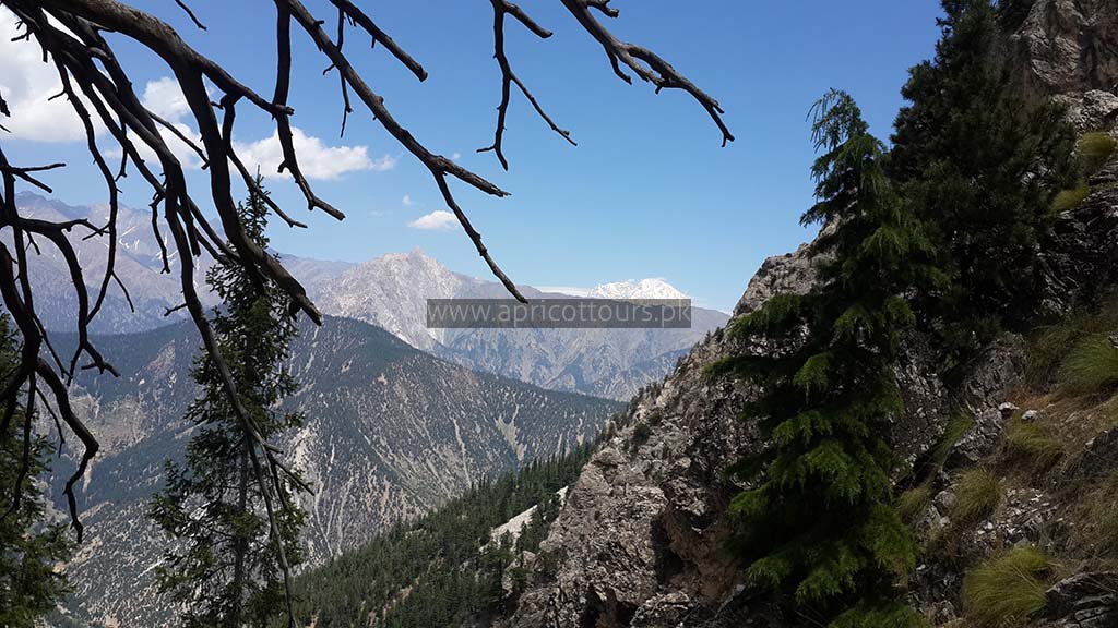 Kalash Valley Chitral Trek (12 Days)