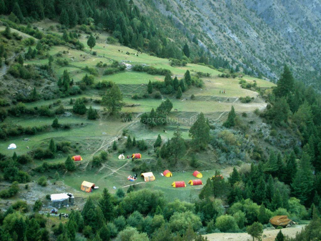 Rakaposhi Base Camp Trek