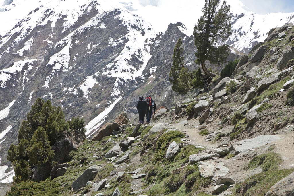 Rakaposhi Base Camp Trek