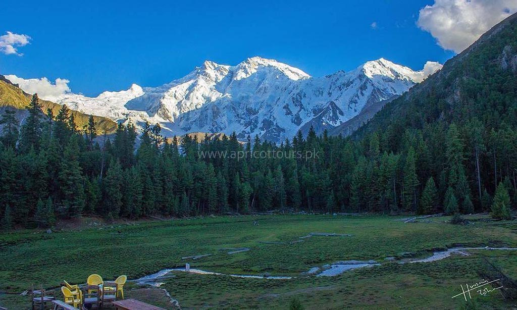 fairy meadows trek