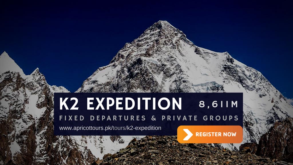 k2 expedition 2020 - 2045