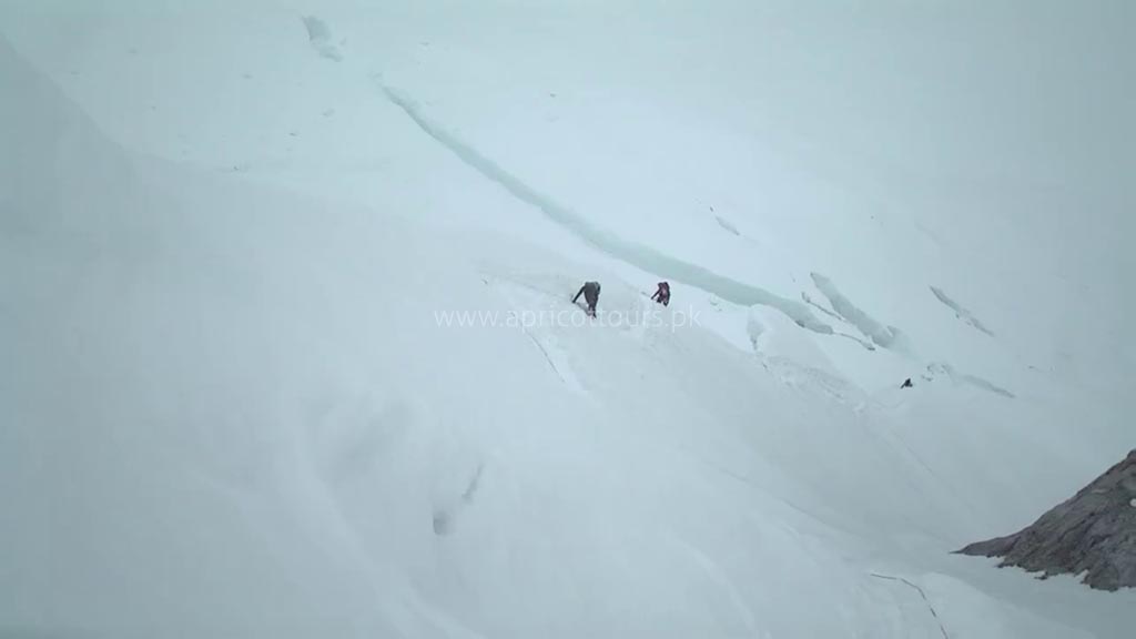 gasherbrum ii expedition