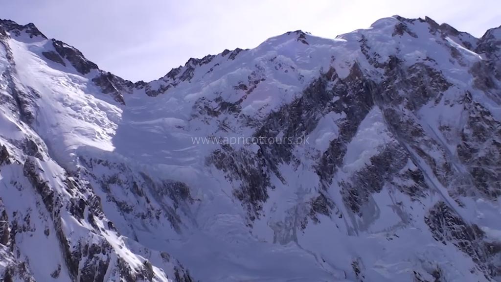 nanga parbat expedition