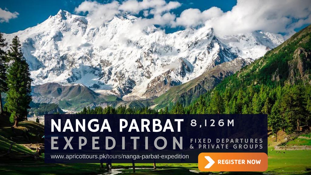 nanga parbat expedition climb