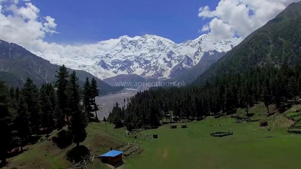 Nanga Parbat Expedition (2019-20) Himalayas - Apricot Tours Pakistan