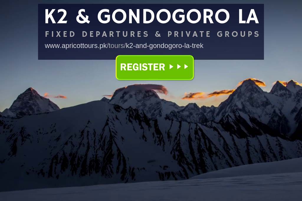 k2 and gondogoro la trek