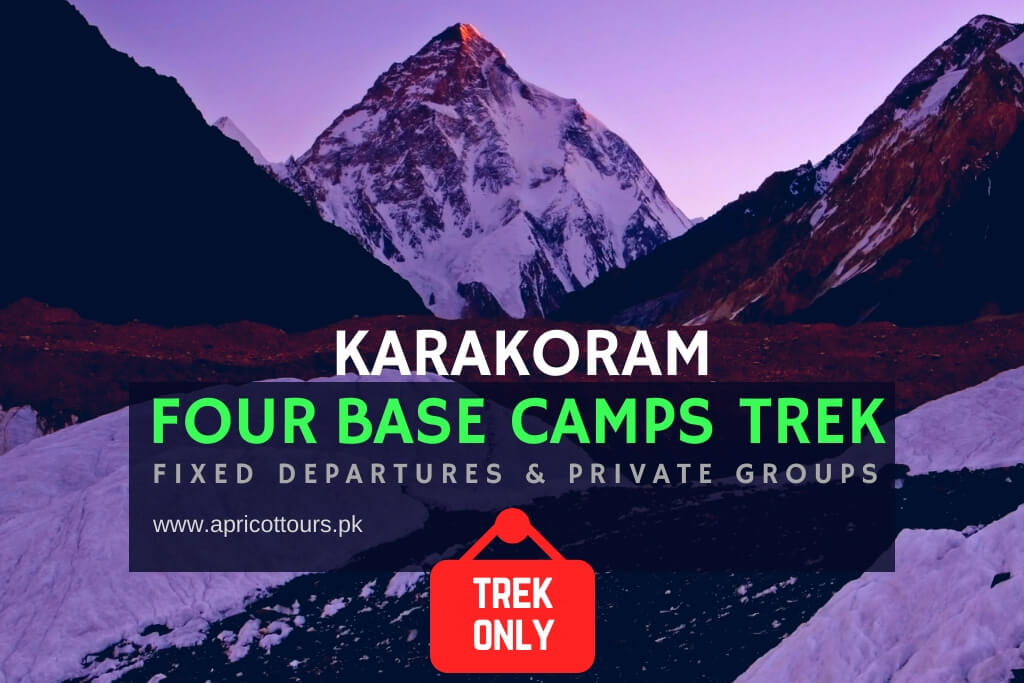 karakoram four base camps trek
