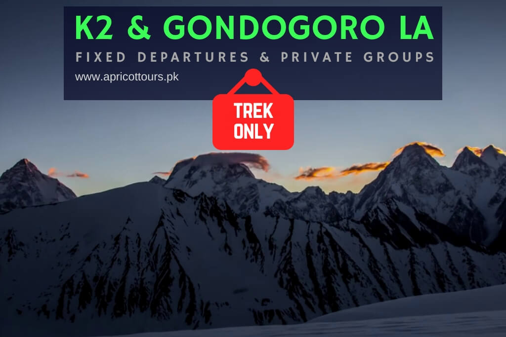 k2 and gondogoro la trek only