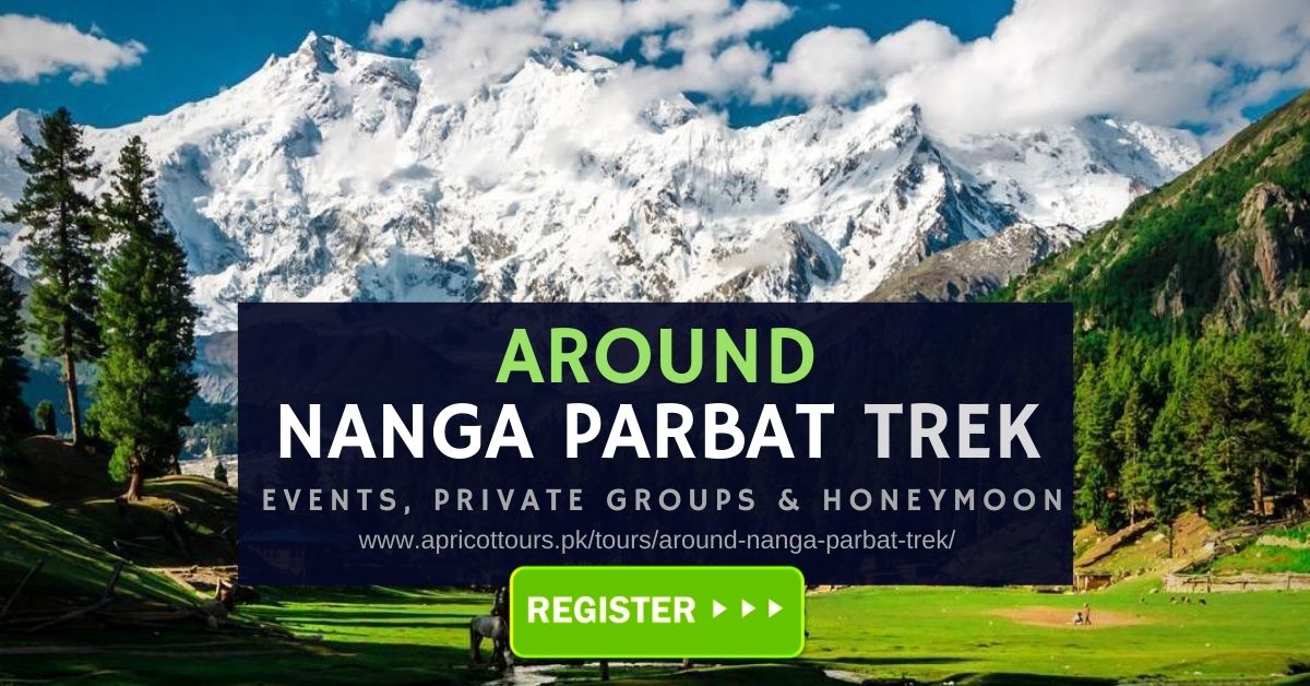 around nanga parbat trek