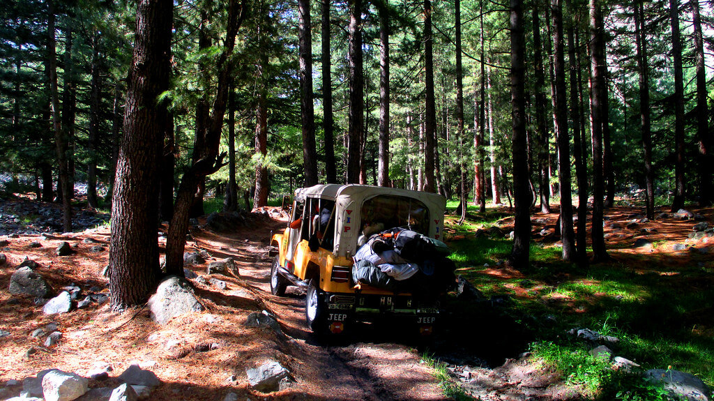 pakistan under a pagan moon