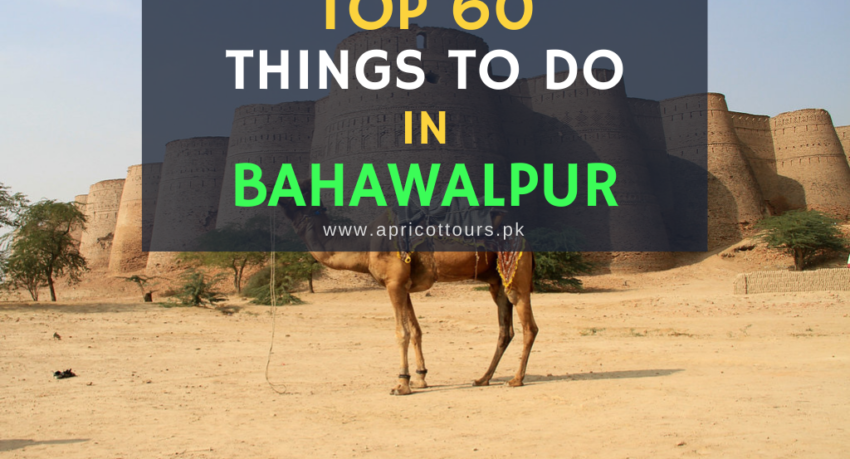 things to do in bahawalpur