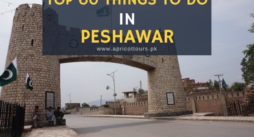 things to do in peshawar