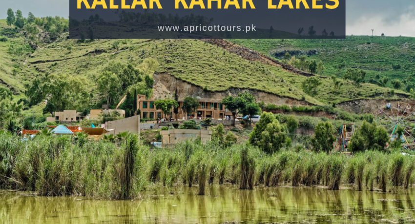 kallar kahar lakes