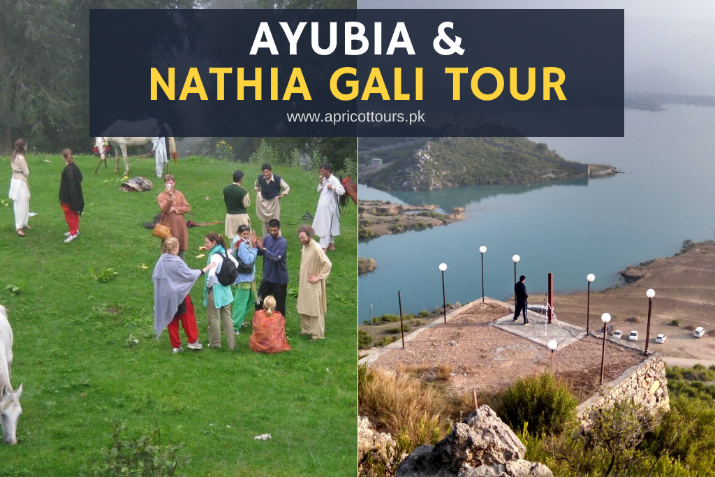 Ayubia & Nathia Gali Tour (Day Trip)