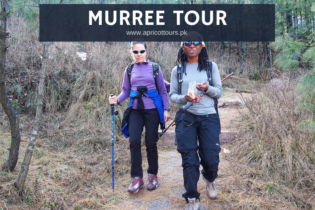 murree tour