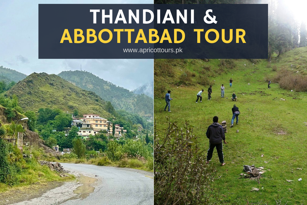 Thandiani & Abbottabad Tour (Day Trip)