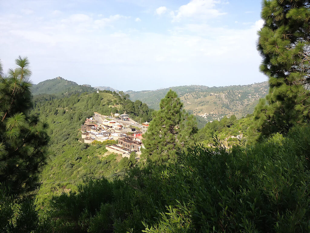 full-day essential islamabad tour