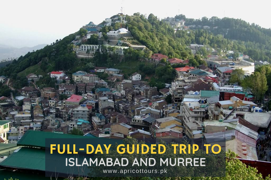 Full-Day Guided Trip to Islamabad and Murree - 1 Day