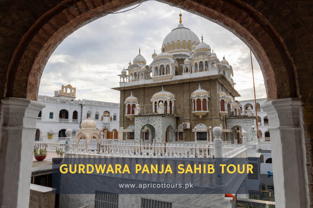 Gurdwara Panja Sahib Tour (Day Trip)
