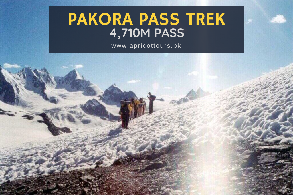 Pakora Pass Trek