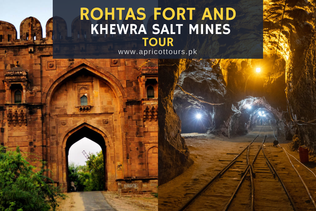 rohtas fort and khewra salt mines tour