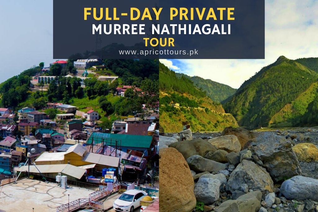 Full-Day Private Murree Nathiagali Tour - 1 Day