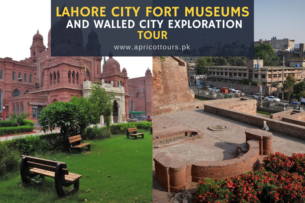 Lahore City Fort Museums and Walled City Exploration Tour - 1 Day