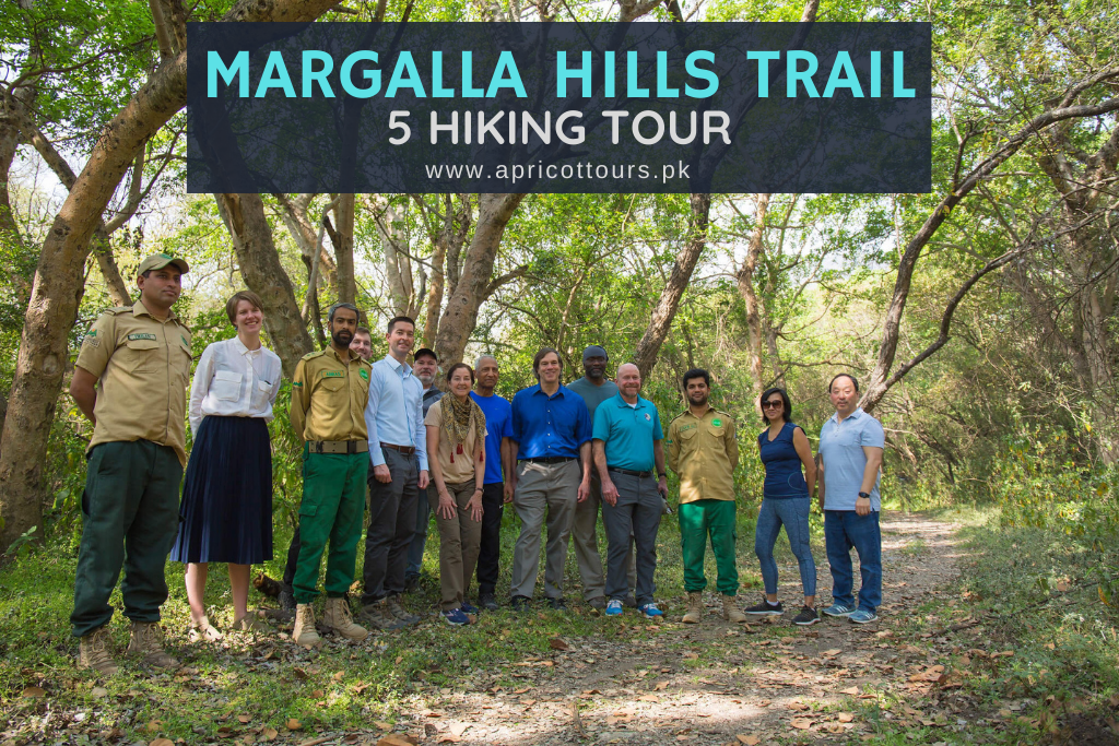 Margalla Hills Trail 5 Hiking Tour