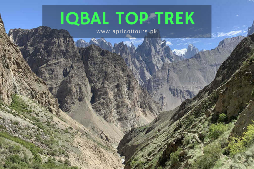 iqbal top trek
