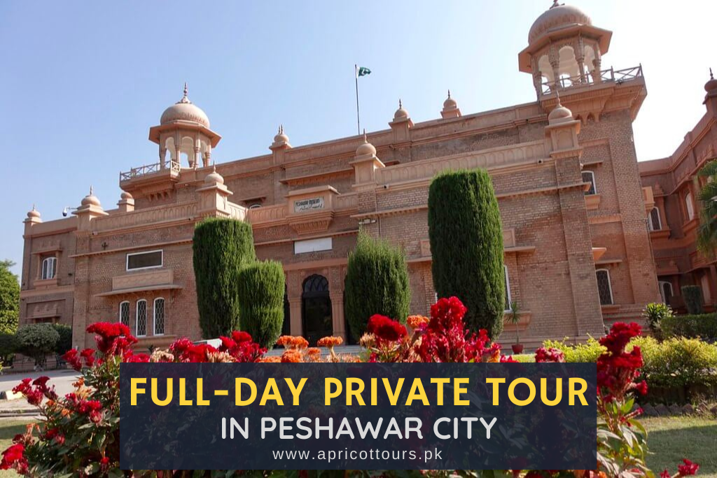 full-day private tour in peshawar city