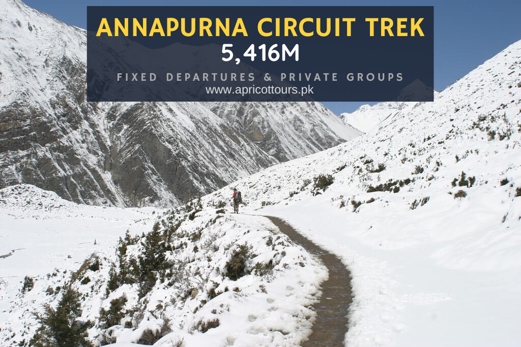 Annapurna Circuit Trek