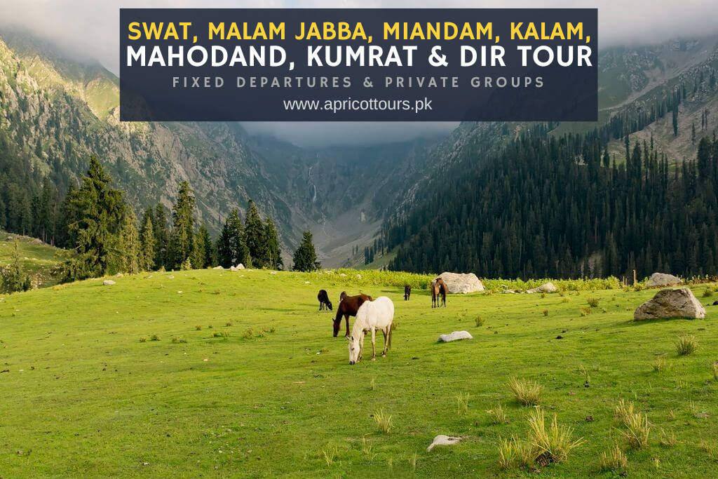 Swat, Malam Jabba, Miandam, Kalam, Mahodand, Kumrat Dir Tour