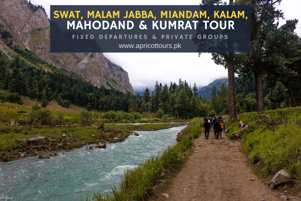 Swat, Malam Jabba, Miandam, Kalam, Mahodand & Kumrat Tour