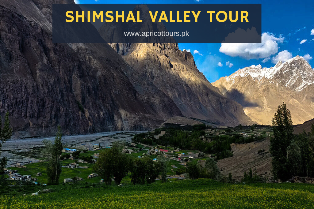 Shimshal Valley Tour